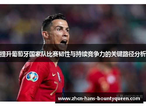 提升葡萄牙国家队比赛韧性与持续竞争力的关键路径分析 提升葡萄牙国家队比赛韧性与持续竞争力的关键路径分析