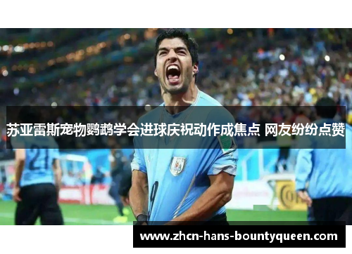 苏亚雷斯宠物鹦鹉学会进球庆祝动作成焦点 网友纷纷点赞 苏亚雷斯宠物鹦鹉学会进球庆祝动作成焦点 网友纷纷点赞