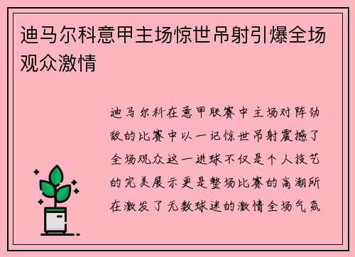 迪马尔科意甲主场惊世吊射引爆全场观众激情
